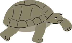 Surkhet Valley School turtle illustration